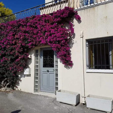 4 Avenue Auguste Galtier Studio