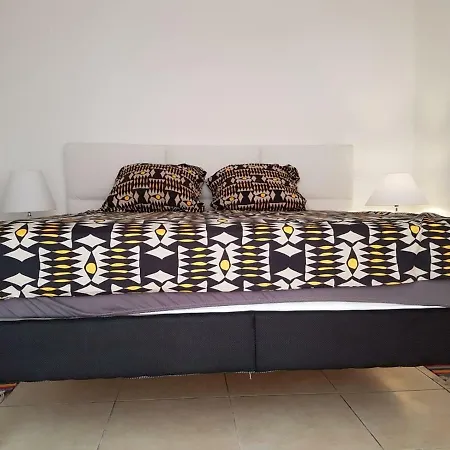 4 Avenue Auguste Galtier Studio
